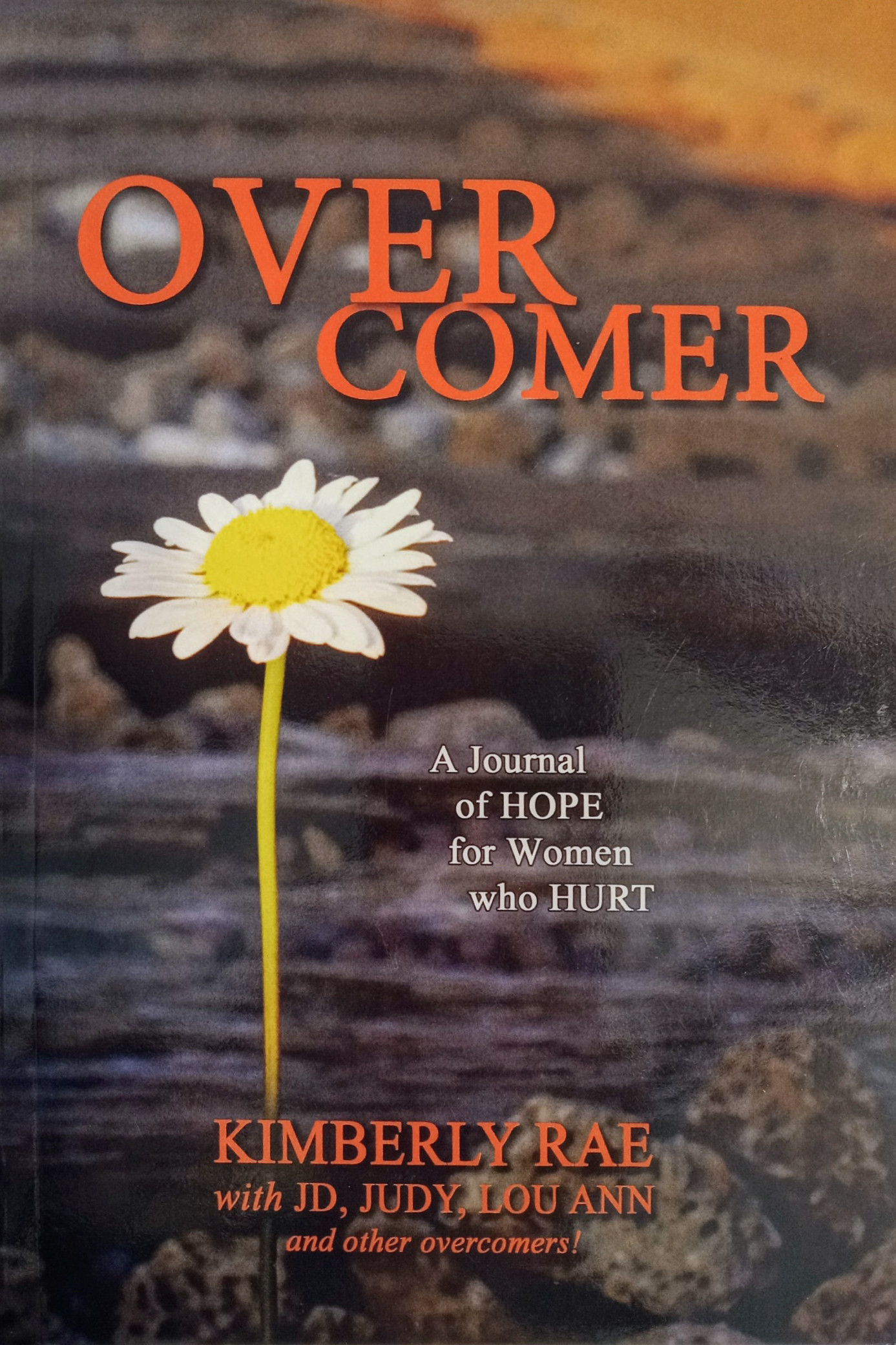 Overcomer Overcomer book, journal of hope for women